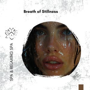 Breath of Stillness: Tibetan Bells and Rain Symphony for Spa Meditation - Spa & Relaxing Spa