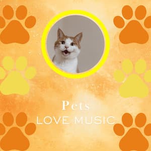 Happy Paws Nocturne - Piano Peace