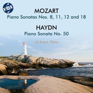 Mozart & Haydn: Piano Sonatas - Wolfgang Amadeus Mozart