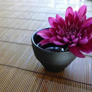 Serenity Mood | Peaceful Music, Relaxation - Pro Sounds of Nature