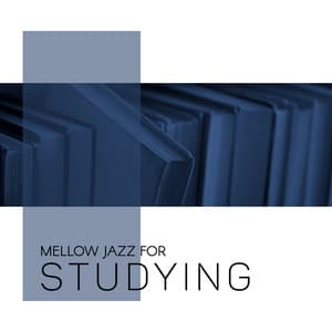Mellow Jazz for Studying – Smooth Jazz BGM to Help You Focus, Concentation Boost, Stay Focused, Music for Learning - Relaxing 'n' Smooth Jazz