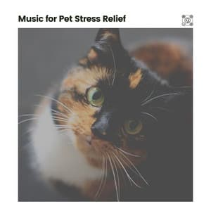 Music for Pet Stress Relief - Relaxing Music for Stress Relief