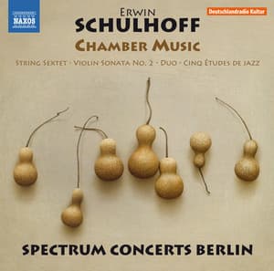 Schulhoff: Chamber Music - Erwin Schulhoff