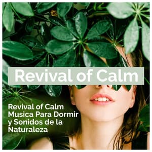 Revival of Calm - Musica Para Dormir y Sonidos de la Naturaleza