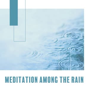 Meditation Among the Rain - Cleansing Body and Soul Healing Music - Raindrops Healing Music Universe