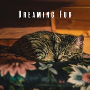 Dreaming Fur: Chill Music for Cats' Rest - Joshua Tree