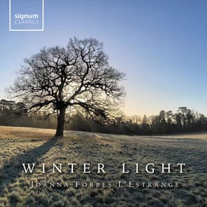 Winter Light - Joanna Forbes L'Estrange
