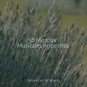 50 Mezclas Musicales Antiestrés - Meditación Maestro