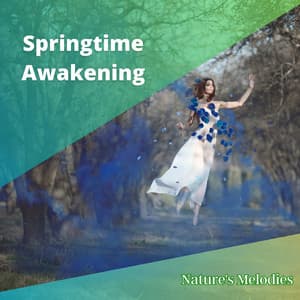 Springtime Awakening - Nature's Melodies