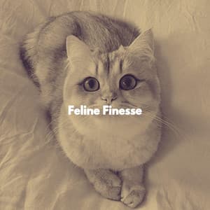 Feline Finesse - Calming Cat Music