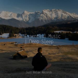 The Essential Music | Deep Sleep - Instrumental