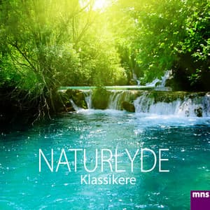 Naturlyde Klassikere - Afslappende Musik