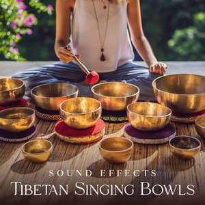 Sound Effects: Tibetan Singing Bowls for Meditation - Sound Effects Zone
