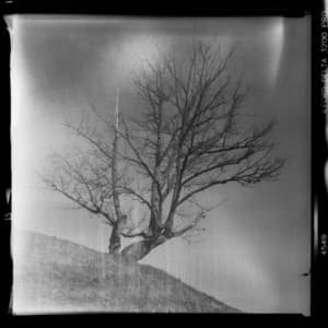 1 AM Chill: Euphoria Unlocked - 16 Bit Serenity