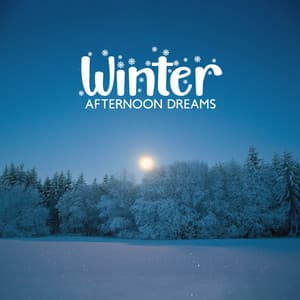 Winter Afternoon Dreams: Tranquil Winter Tales - Calm Music Zone