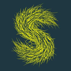 Our Moon Is Full - Strings Of Consciousness