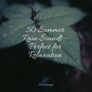 50 Summer Rain Sounds - Perfect for Relaxation - Kundalini Yoga