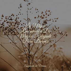 La Mejor Recopilación De Música Relajante Para Dormir - Chakra Balancing Sound Therapy