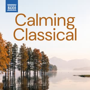 Calming Classical - Ludwig van Beethoven