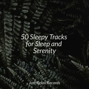 50 Sleepy Tracks for Sleep and Serenity - Yoga Namaste