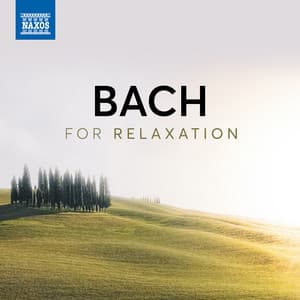 Bach For Relaxation - Johann Sebastian Bach