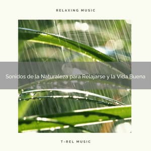 Sonidos de la Naturaleza para Relajarse y la Vida Buena - Especialistas de Musica para Dormir