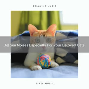 All Sea Noises Especially For Your Beloved Cats - Cat Total Relax