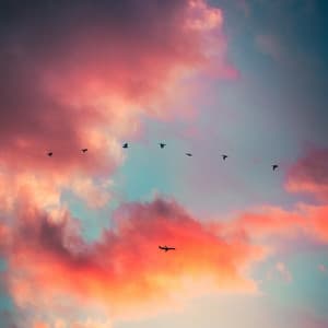 Easy Calm Sleep Sough - Baby Sleeping Music