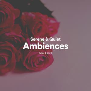 Serene & Quiet Ambiences - New Age by Relax & Chill