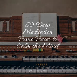 Summer Wellness - Chillout Cafe Music