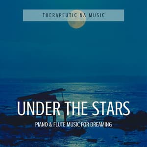Under the Stars: Piano & Flute Music for Dreaming - Therapeutic NA Music