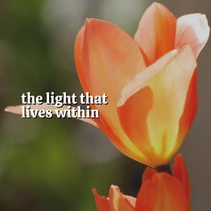The Light That Lives Within - Musica Relax Academia