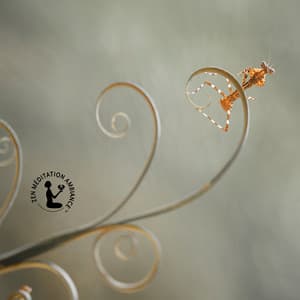 Lueur d’Étreinte - Zen Méditation Ambiance