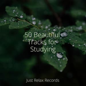 50 Beautiful Tracks for Studying - Yoga Namaste