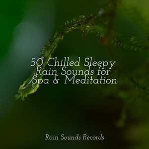 50 Chilled Sleepy Rain Sounds for Spa & Meditation - Lightning, Thunder and Rain Storm