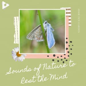 Sounds of Nature to Rest the Mind - ASMR Zen Garden
