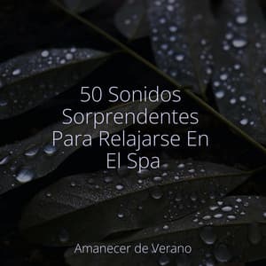 50 Sonidos Sorprendentes Para Relajarse En El Spa - kinderliedjes