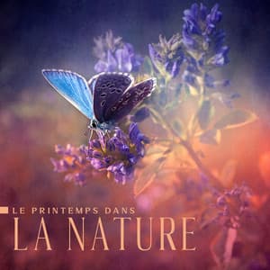 Le printemps dans la nature: Forêts fleuries, Ruisseaux vivants, Chants d'oiseaux, Pluie rafraîchissante - Club de Méditer de Détendre