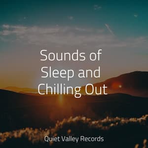 Sounds of Sleep and Chilling Out - Sons da Natureza Relax