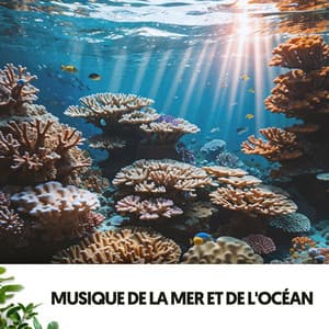 Musique de la Mer et de l'Océan : Symphonie des Vagues - Ocean Sounds