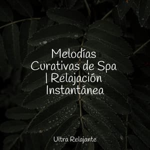 Melodías Curativas de Spa | Relajación Instantánea - Musica Relajante Specialistas