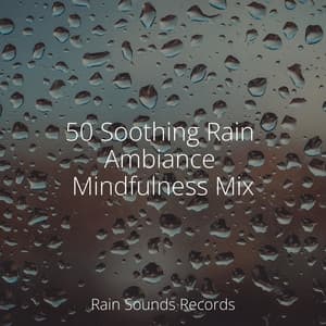 50 Soothing Rain Ambiance Mindfulness Mix - Musica Para Estudiar Academy