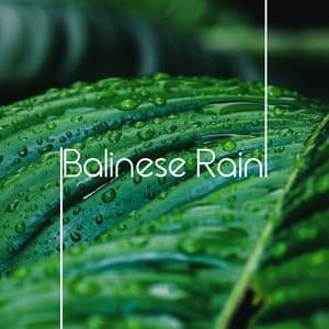 Balinese Rain: Soothing Rain Sounds for Meditation, Wellbeing, Yoga, and Spa Massage - Ambient Rain