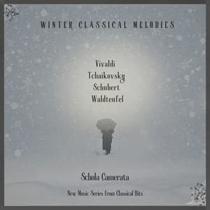 Winter Classical Melodies - Vivaldi - Tchaikovsky - Schubert - Waldteufel - Schola Camerata - New Music Series from Classical Hits - Classical Hits