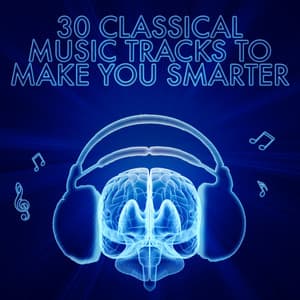 30 Classical Music Tracks to Make You Smarter - Wolfgang Amadeus Mozart