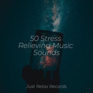 50 Stress Relieving Music Sounds - Reiki Music