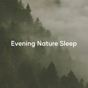 Evening Nature Sleep - Healing Power Natural Sounds Oasis