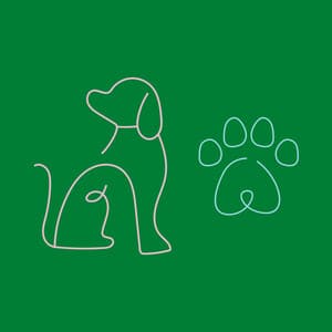 Extraordinary Bgm for Dogs Sitting Back and Relaxing - Chill My Pooch