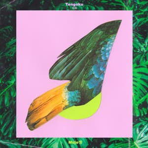 EXPEDITion 100 - Vol. 8: Tengoku - Mujo