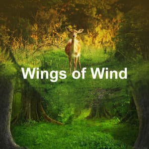 Wings of Wind - Bird Sounds